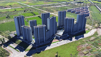 动图.gif 动图.gif